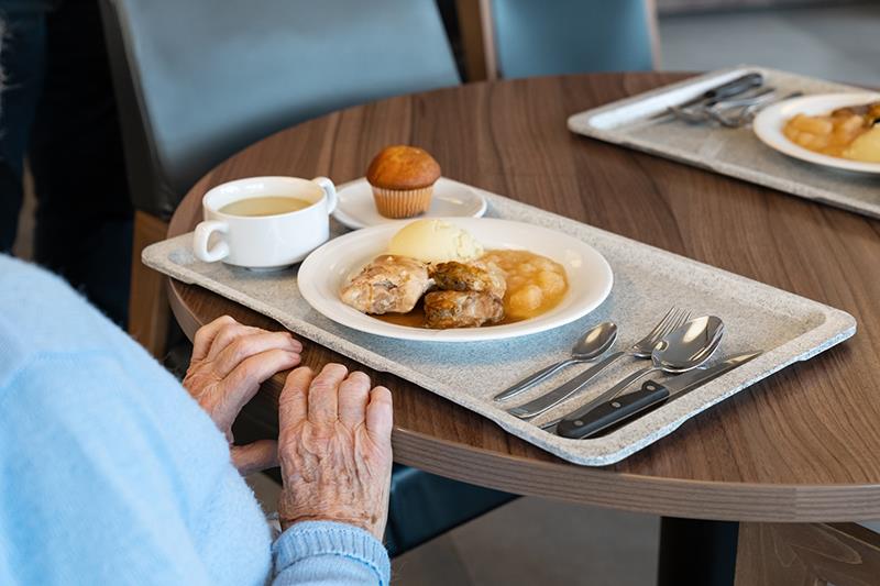 What are you looking for in a tray?